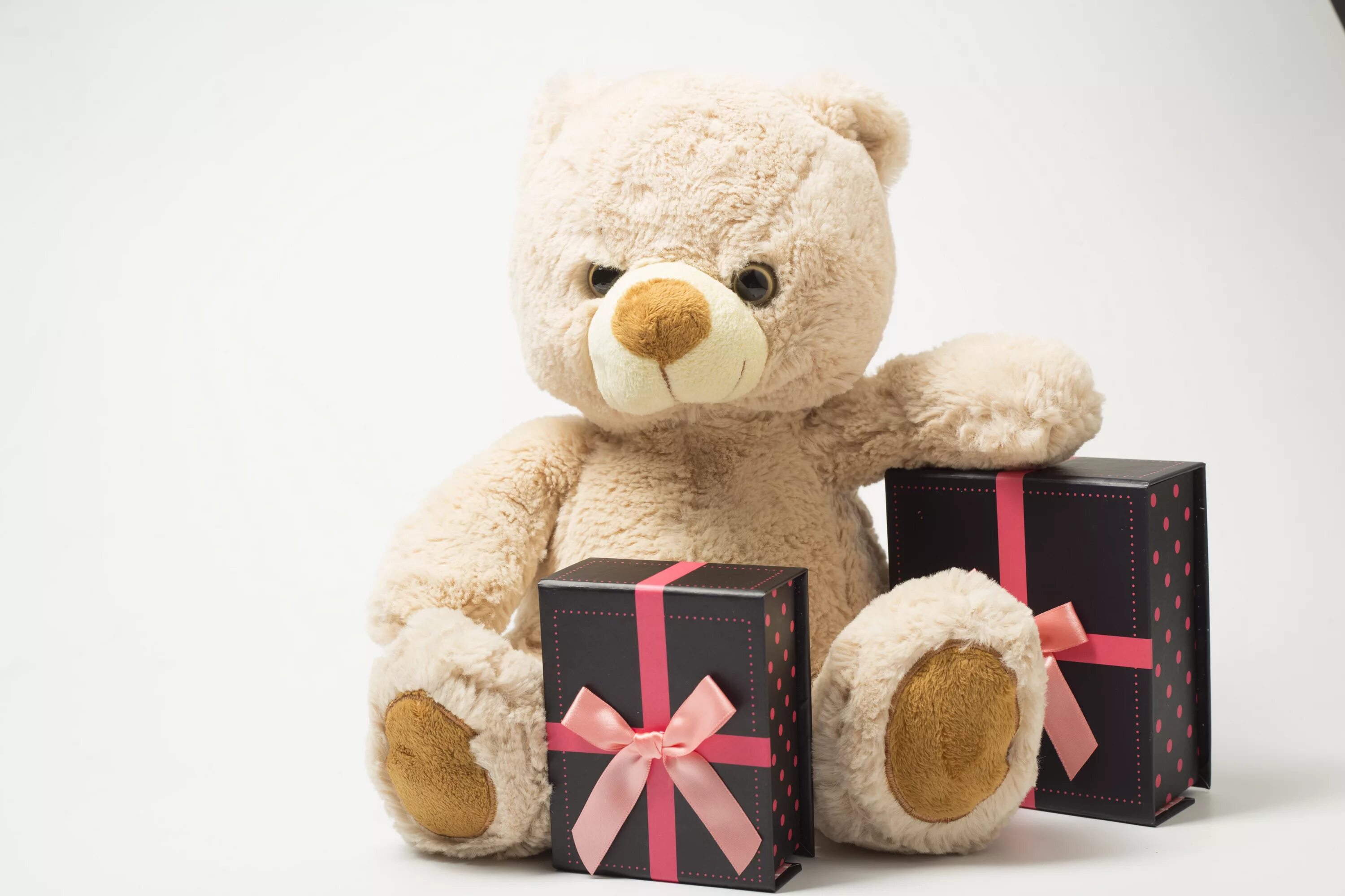 Мягкая игрушка подарок. Открытый подарок с игрушкой. Toy gift. Медвежонок с подарком. Подарок.