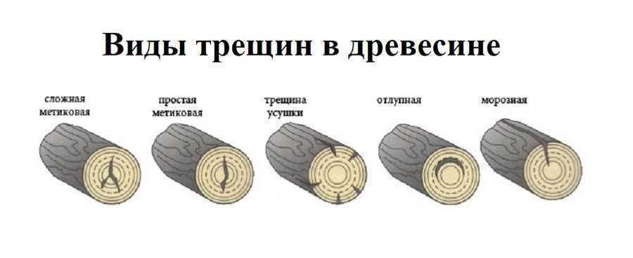 Отлуп это