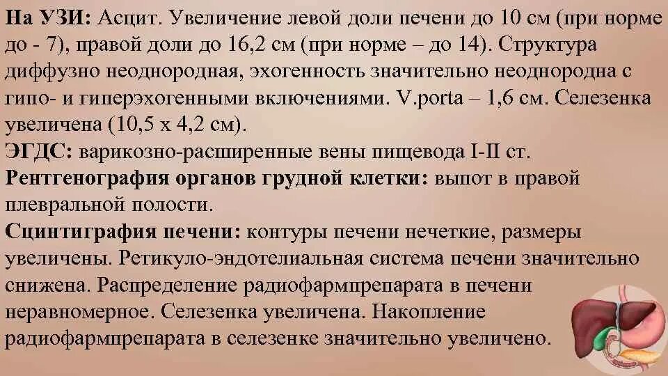 Какая норма селезенки. Толщина левой доли печени в норме на УЗИ. Размеры печени по УЗИ норма у взрослых. Размеры печени на УЗИ норма. Размеры левой доли печени в норме.