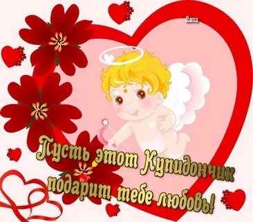 Привет сынок