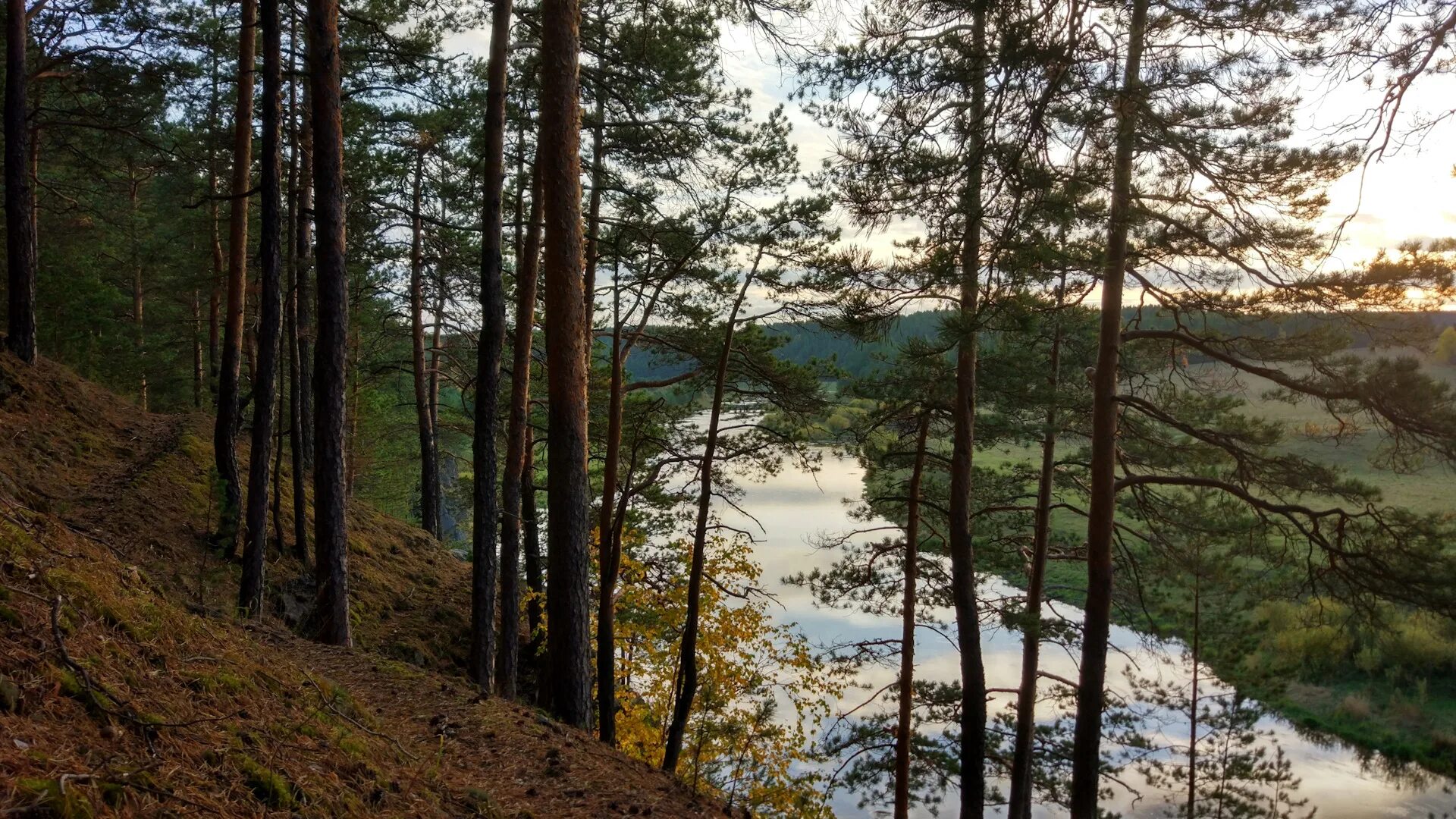 Курорт САМОЦВЕТ Алапаевский район. Дунькин камень САМОЦВЕТ. Курорт САМОЦВЕТ природа. САМОЦВЕТ поселок.