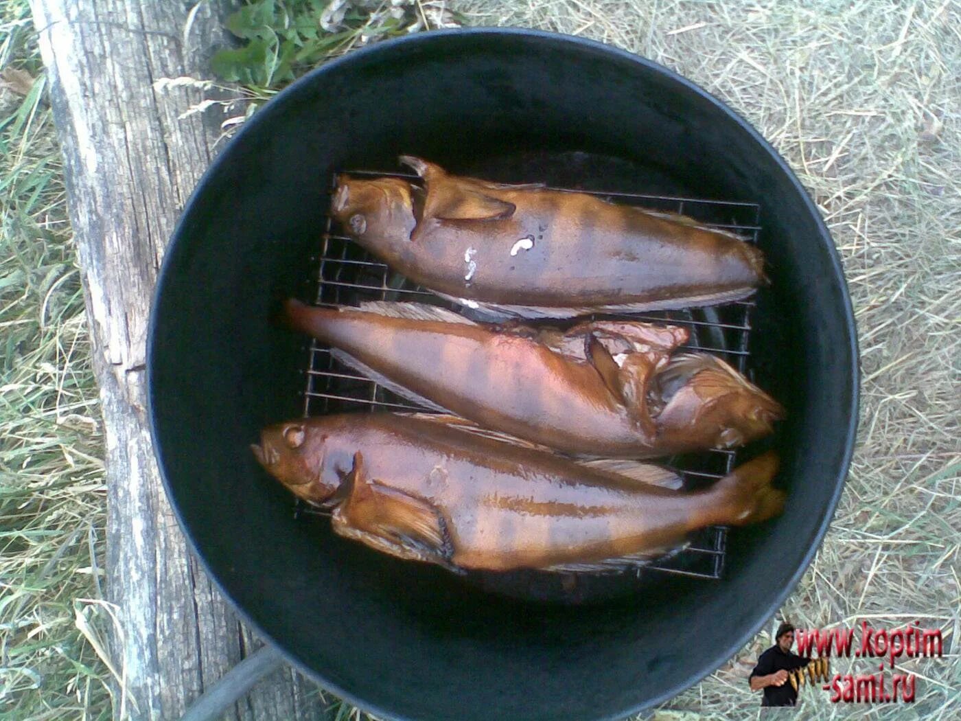 режимы копчения. коптильня горячего копчения аромат кнг-14. книжка холодное копчение. книга коптим рыбу. коптильня.