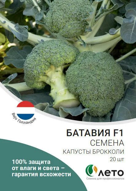 Капуста брокколи батавия описание сорта фото отзывы Проф Семена Агрофирма 8 (495) 363-53-56 Москва , ул. Обручева д.55 А Лорд F1,