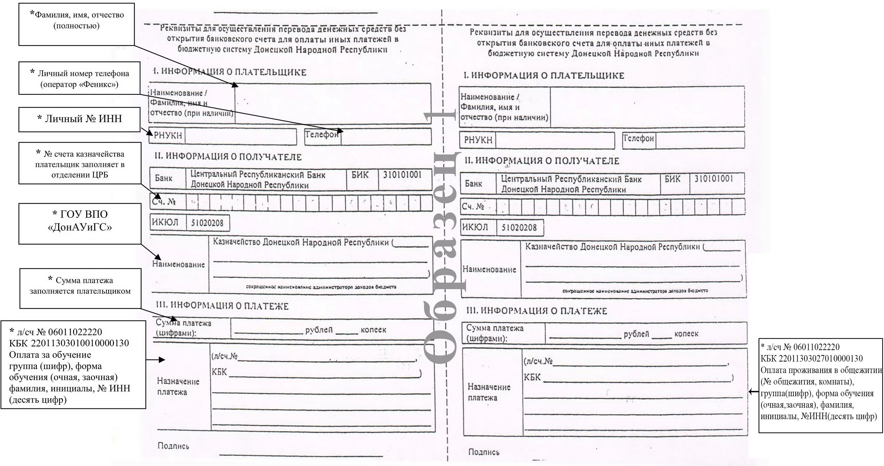 Распоряжение на перевод денежных средств ДНР. Бланк ДНР.
