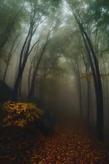 Память на пейзажи