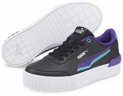 Puma carina