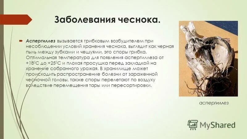 производственная пыль и ее воздействие на организм человека. запыленность на производстве. из карточек разрезной азбуки в 32 буквы наугад выбираются 7. в случае пыли между собой смешаны. воздействие пыли на организм.