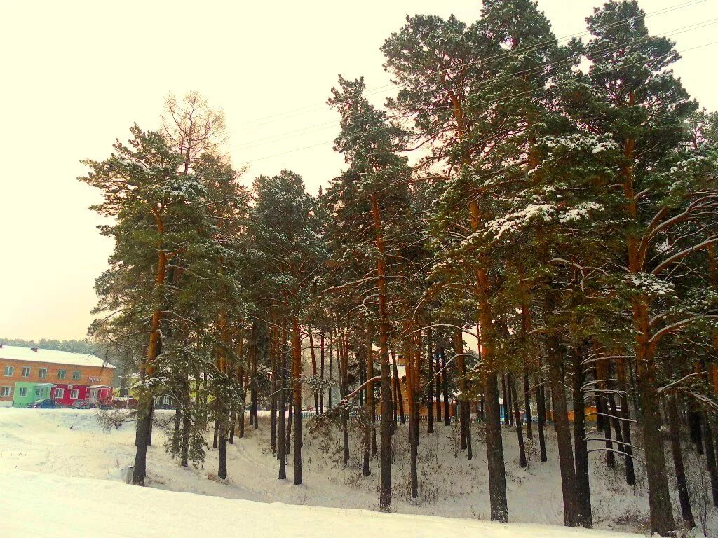 юрий пучков фото деревня сосноватка. сосновый бор новгородская область.