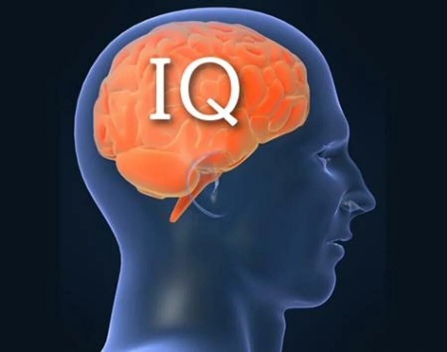 IQ Эйнштейна 160. Коэффициент интеллекта IQ. Высокий IQ. IQ высокий интеллект.