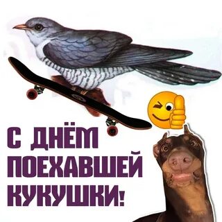 Всратые открытки с днем