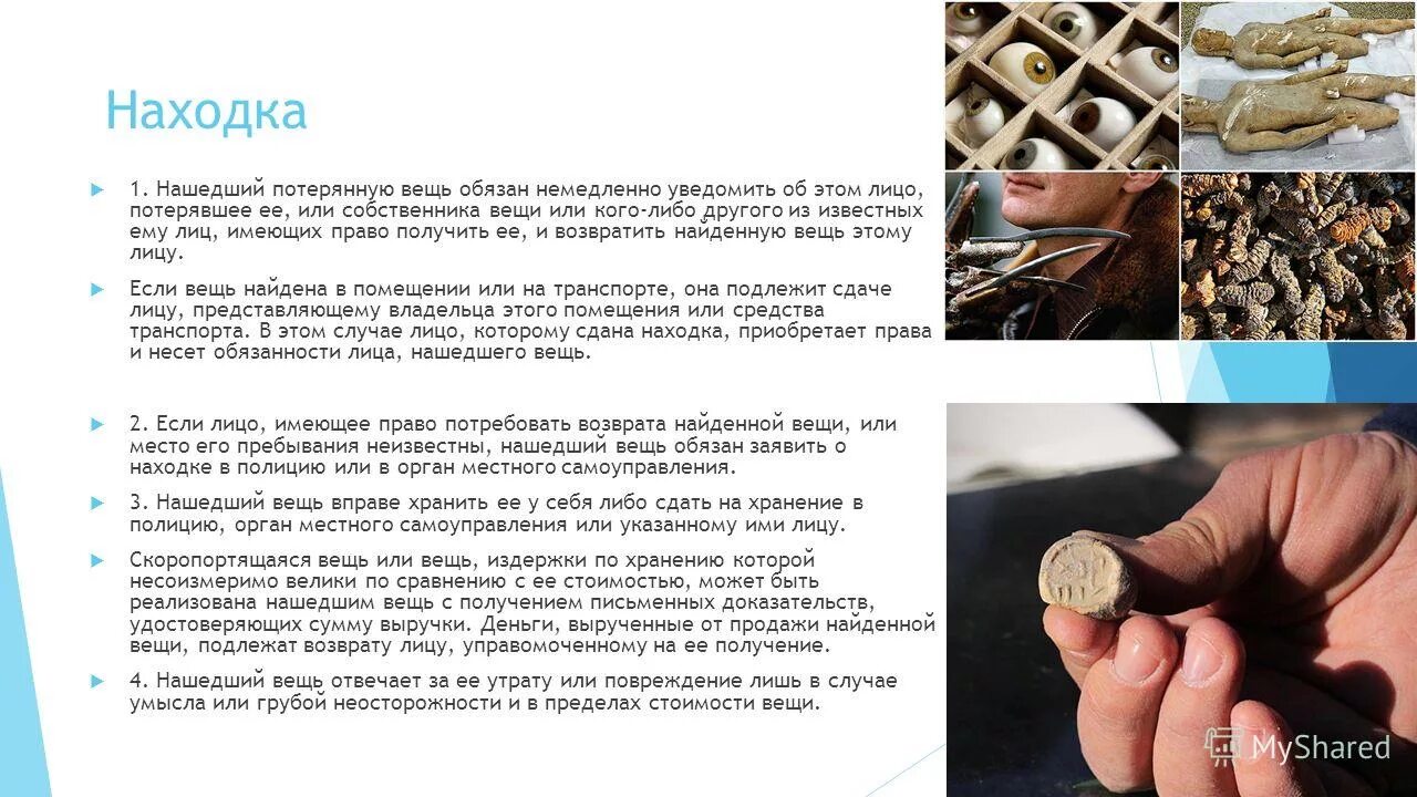 Революция в обучении гордон драйден джаннетт вос. Лицо нашедшее вещь обязано. Нашедший потерянную вещь находку становится ее собственником. Лицо нашедшее вещь обязано. Лицо нашедшее вещь обязано.