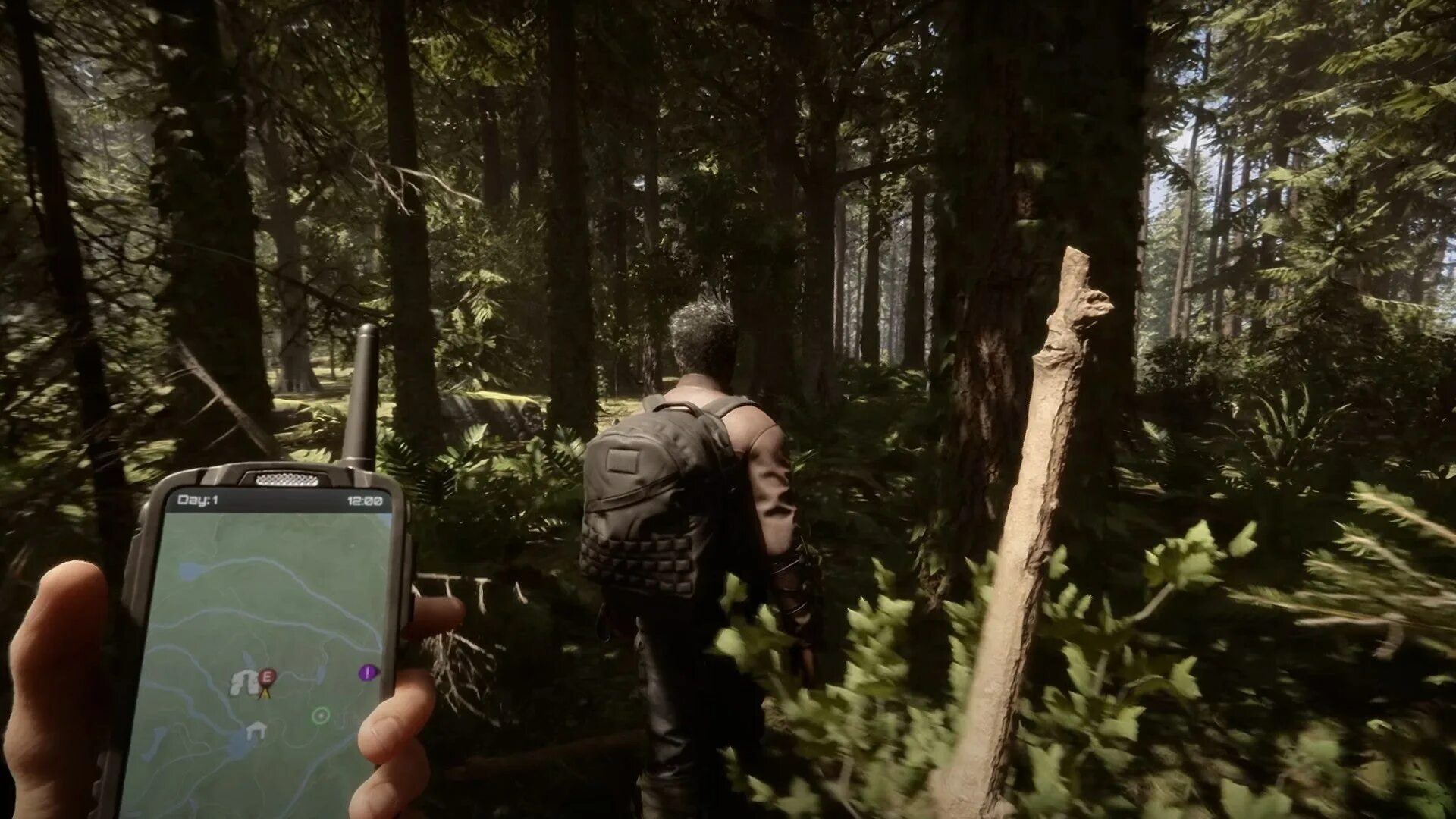 Плот sons of the forest. Sons of the forest игра. the forest sons of the forest. дом sons of the forest. лес.