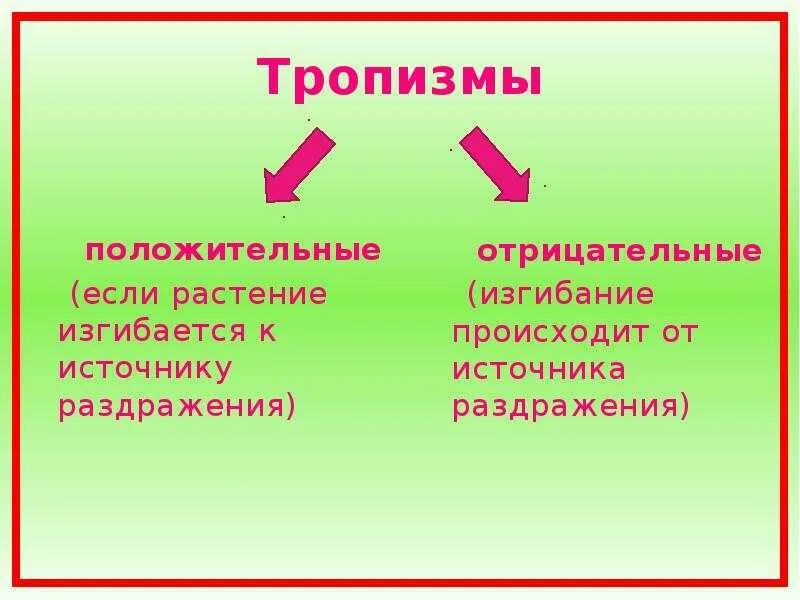 Тропизмы настии. Тропизмы. тропизм это в медицине. тропизмы настии свойство живого.