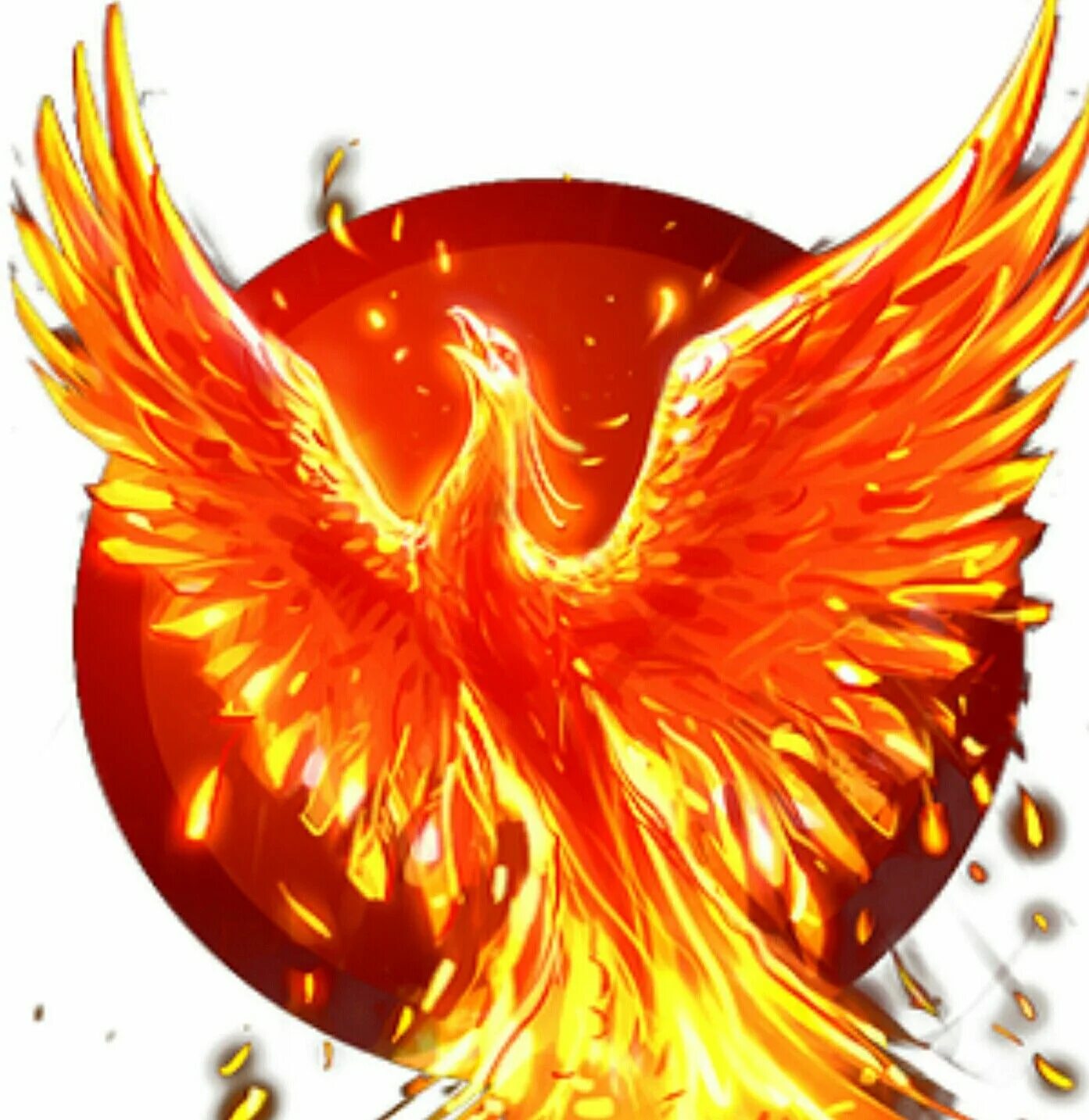 Феникс древнегреческая мифология. Огненная птица феникс. Phoenix tv. New phoenixes. Жар птица и феникс.