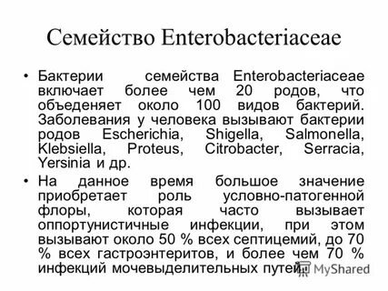 Семейство бактерий