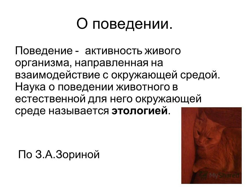 Сообщение поведение животных. Виды поведения животных. поведение животных презентация. доклад на тему поведение животных. сообщение о поведении животных.