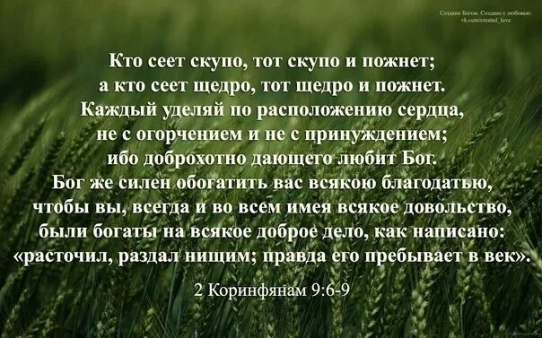 Выражение что посеешь то