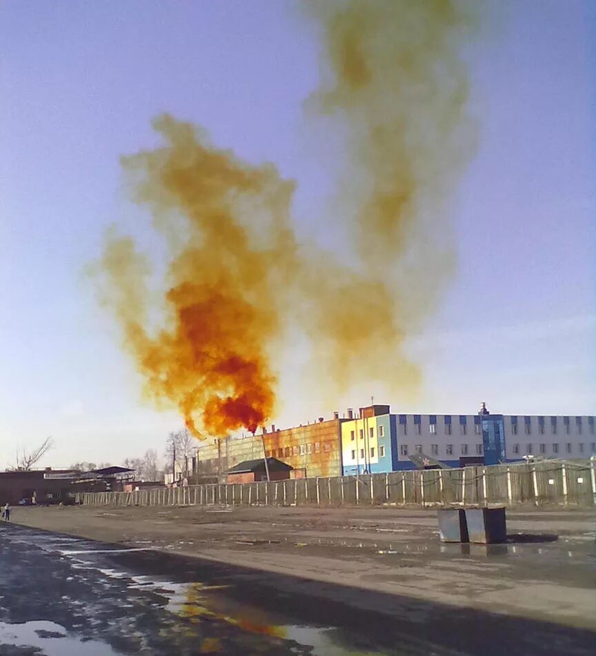 лисий хвост оксид азота. лисий хвост выбросы в атмосферу. лисий хвост диоксид азота. диоксид ахота лисиц хвост. лисий хвост азот.