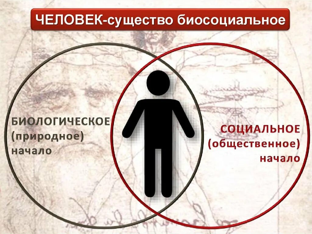 Человек является социальным человеком. Человек биосоциальное существо. Биосоциальное в человеке. Человек это социально биологическое существо. Биологическая и социальная сущность человека.