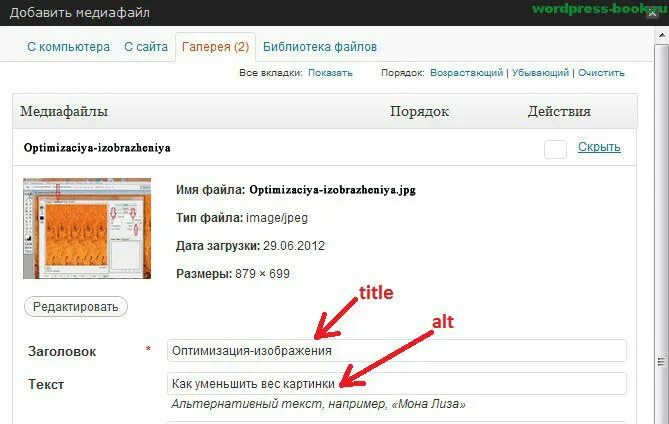 Как добавить атрибут alt к изображению. Теги alt и title у картинок. атрибут title для картинок что это. тег alt для изображений. добавление атрибутов alt и title к изображениям.