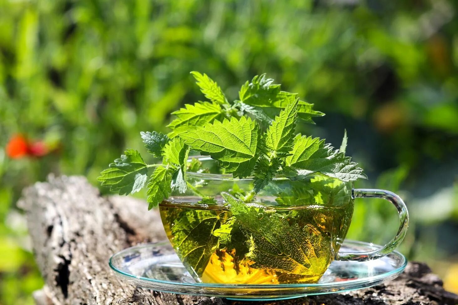 Чай на природе. Китайский чай церемония. На открытом воздухе чай со свежим. Чай с яблоком и мятой. На открытом воздухе чай со свежим.