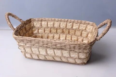 Длина лозы