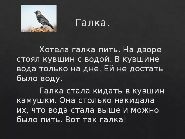 Хотела галка пить. Хотела Галка пить на дворе. Хотела Галка пить на дворе стоял кувшин с водой. Изложение Галка. Изложение про галку по русскому языку 2 класс.