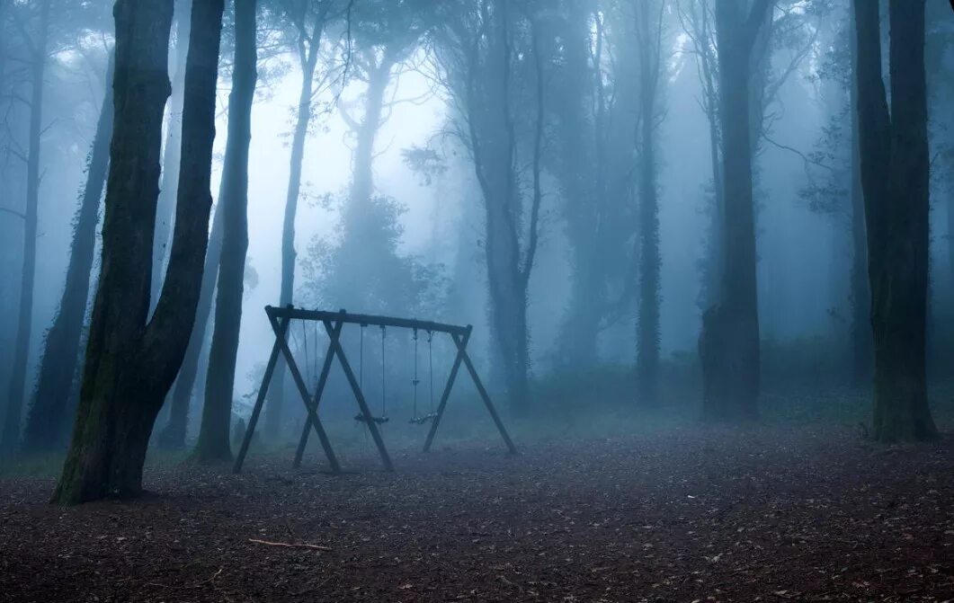Страшный лес. Мрачные леса. Жуткий лес. Страшный лес в тумане. Загадочные туманы