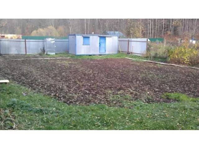 Как рассчитать сотку в огороде