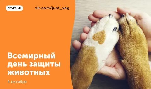 4 октября всемирный день животных