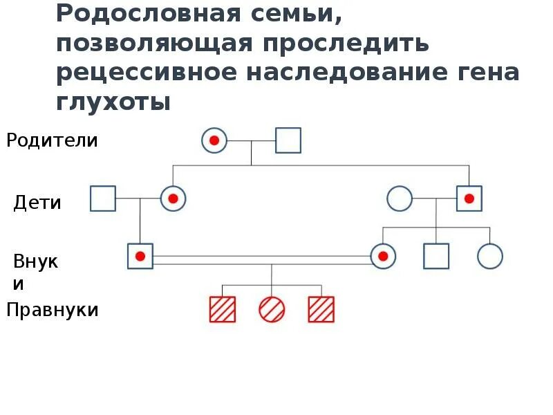 Наследственная глухота. Наследственная глухота Тип наследования. Схема наследования генов у человека. Схема наследования глухонемого. Глухонемота Тип наследования.