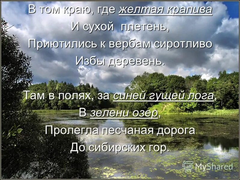В том краю где желтая крапива есенин. В том краю где. Природа села константиново родины есенина. Цитаты про честь девушки. В том краю где желтая крапива.