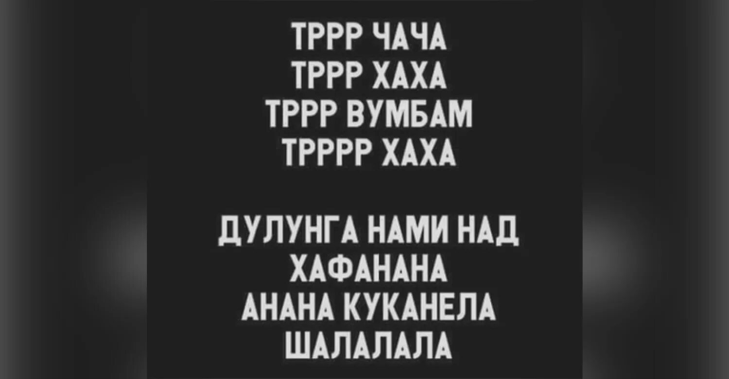 Тррр. Ха ха текст. Мем собака шалалала. Ха ха текст. Ха ха текст.