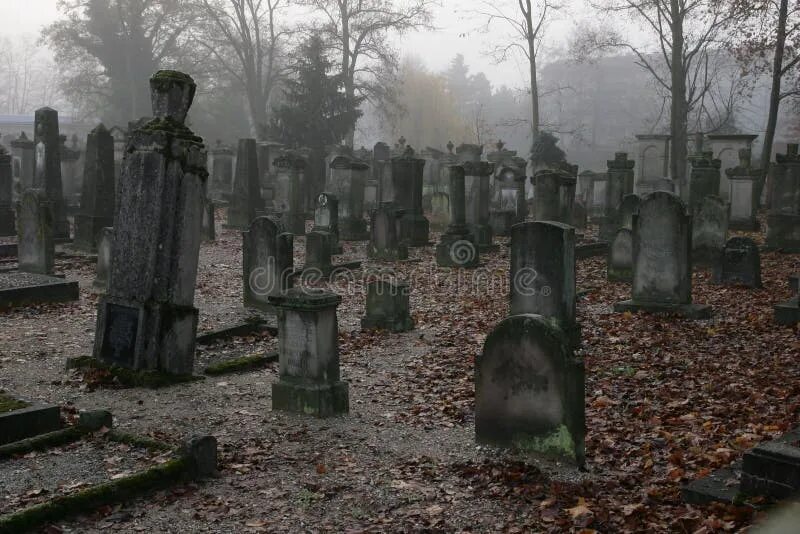 Meet you at the graveyard sovan truong. Серое кладбище. Бродячие могилы. Странствующие могилы. Могила рядом с деревом.