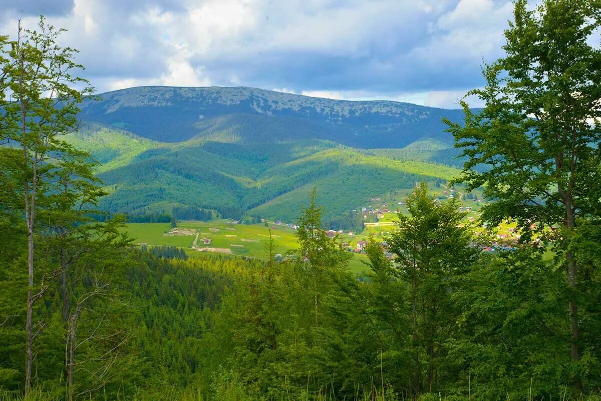 Карпаты. Ивано-Франковск по «Карпаты». Карпаты горы. Карпаты Черновицкая область.