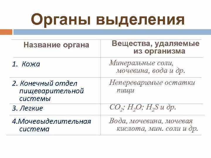 Соединение и выделение дел. Вещества в органы выделения. Органы выделения вещества выделяемые из организма. Название органов выделения. Название органа вещества удаляемые из организма.