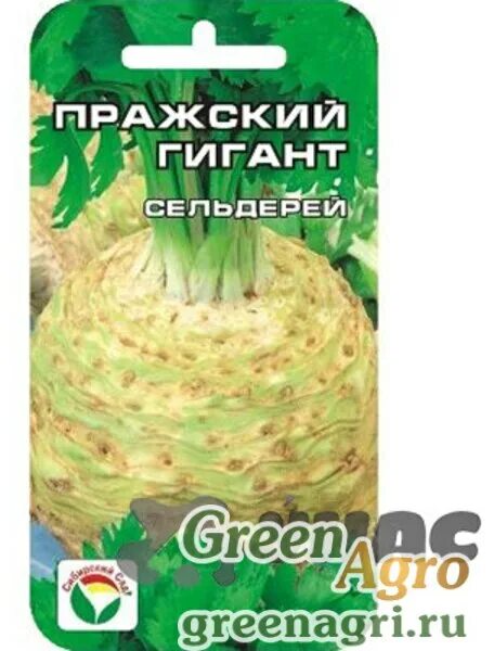 Сельдерей гигант восточный черешковый седек. Сельдерей пражский гигант (корневой) семена. Сельдерей корневой пражский гигант 0,5г нк. Сельдерей корневой пражский гигант. Сельдерей корневой парижский гигант.