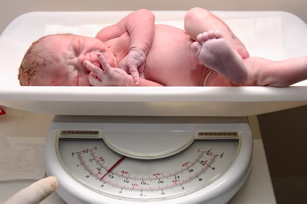 В 6 месяцев рожают. Вес новорожденного ребенка. Новорожденные с маленьким весом. Взвешивание недоношенного.