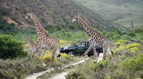 Game reserves