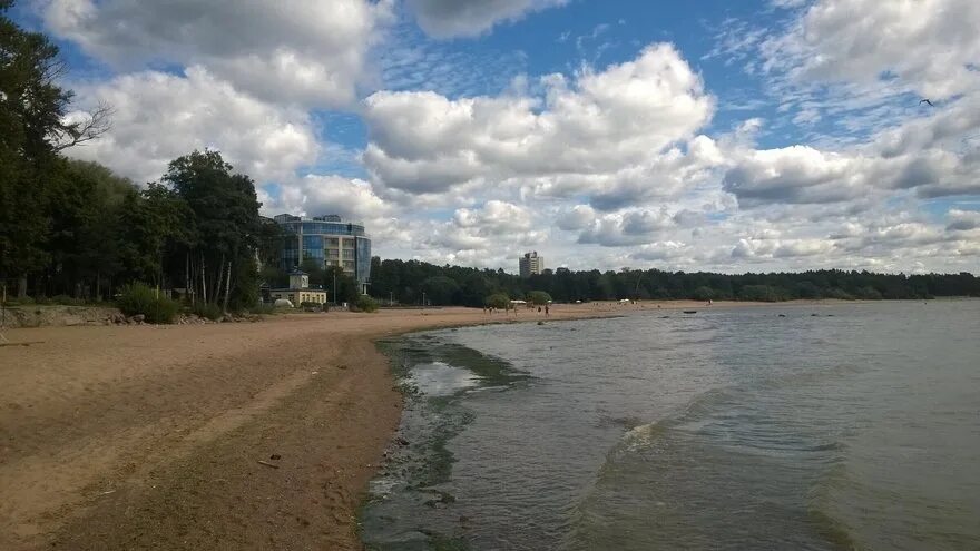 Репино парк у пляжа. Пляж чудный санкт петербург. Финский залив комарово. Пляж чудный в репино. Пляж санатория репино.