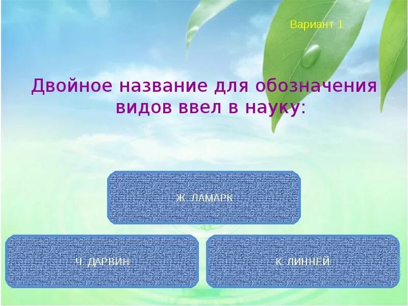 Двойное название в заголовке. Двойной заголовок. Стили заголовок двойной. Двойное название растения указывает на название. Двойной заголовок.