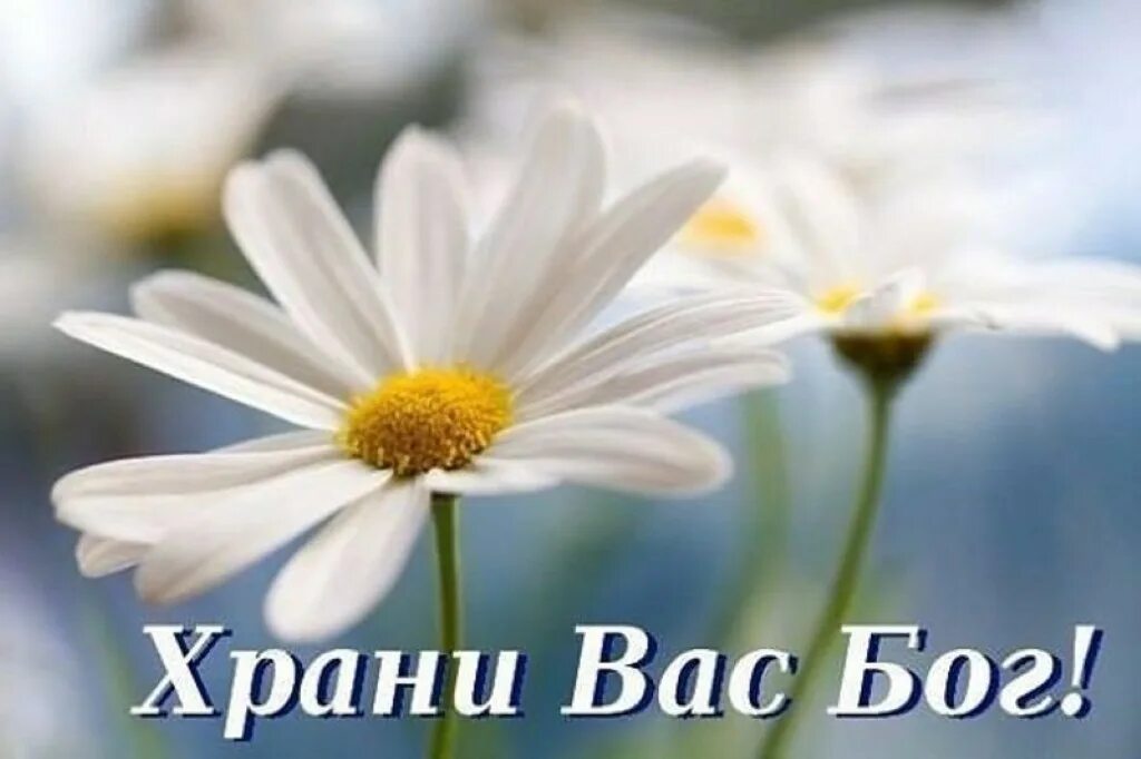 Доброго дня и храни вас. Храни вас бог. многая и благая лета. христианские пожелания. храни вас бог открытки.