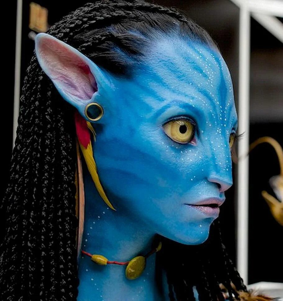 Фотосессия в стиле аватар. Макияж аватара. Аватар макияж. Макияж аватара. Аватар образ.