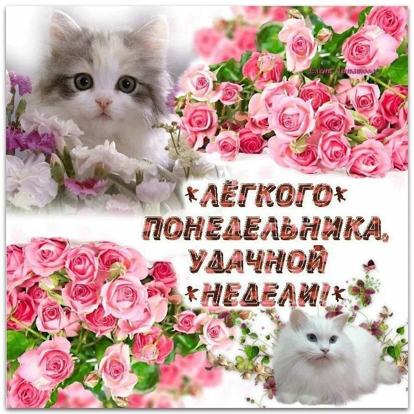 Хорошего легкого дня и отличного. Открытки с понедельником. открытка отличного понедельника. открытки с добрым понедельником. открытка хорошего понедельника.