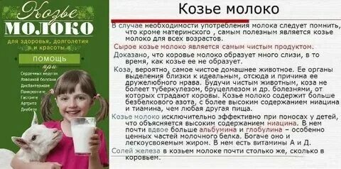 Можно ли котятам давать козье молоко