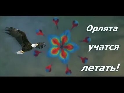 Учатся летать песня