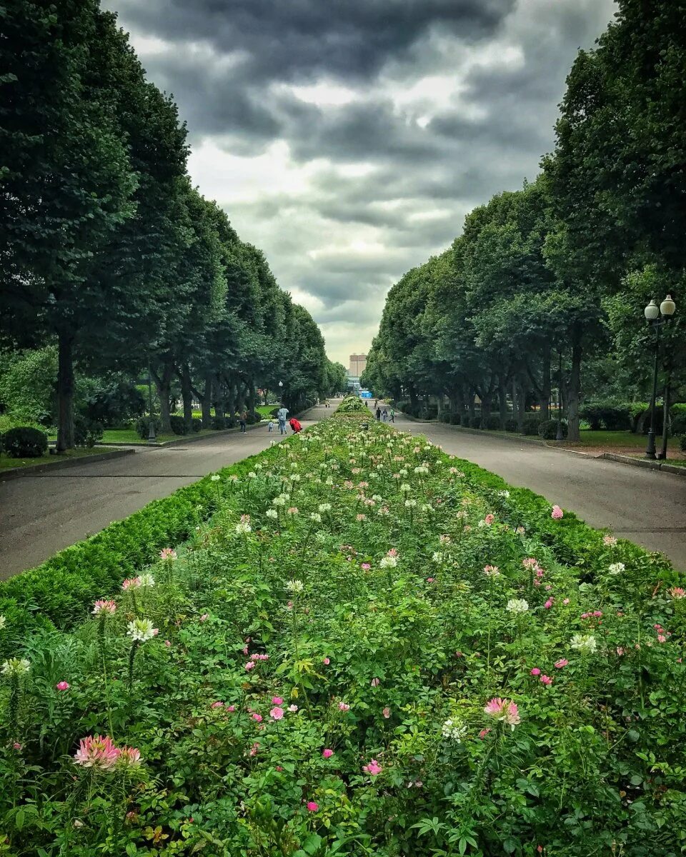 Ал ля. Парк Горького. Парк Горького аллея. Парк Горького Москва. Парк Горького Москва Лесная аллея.