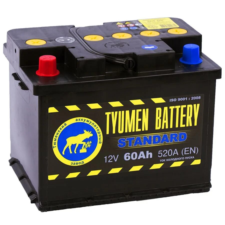 Самые аккумуляторы автомобильные. Tyumen Battery Standard 55ач. АКБ Тюменский 60 Ач. Тюменский аккумулятор 62а 580. Аккумулятор стандарт 6ct-60l.