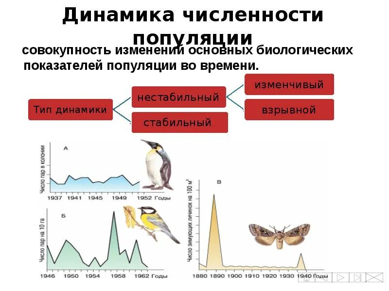 Изменение численности особей популяции называют