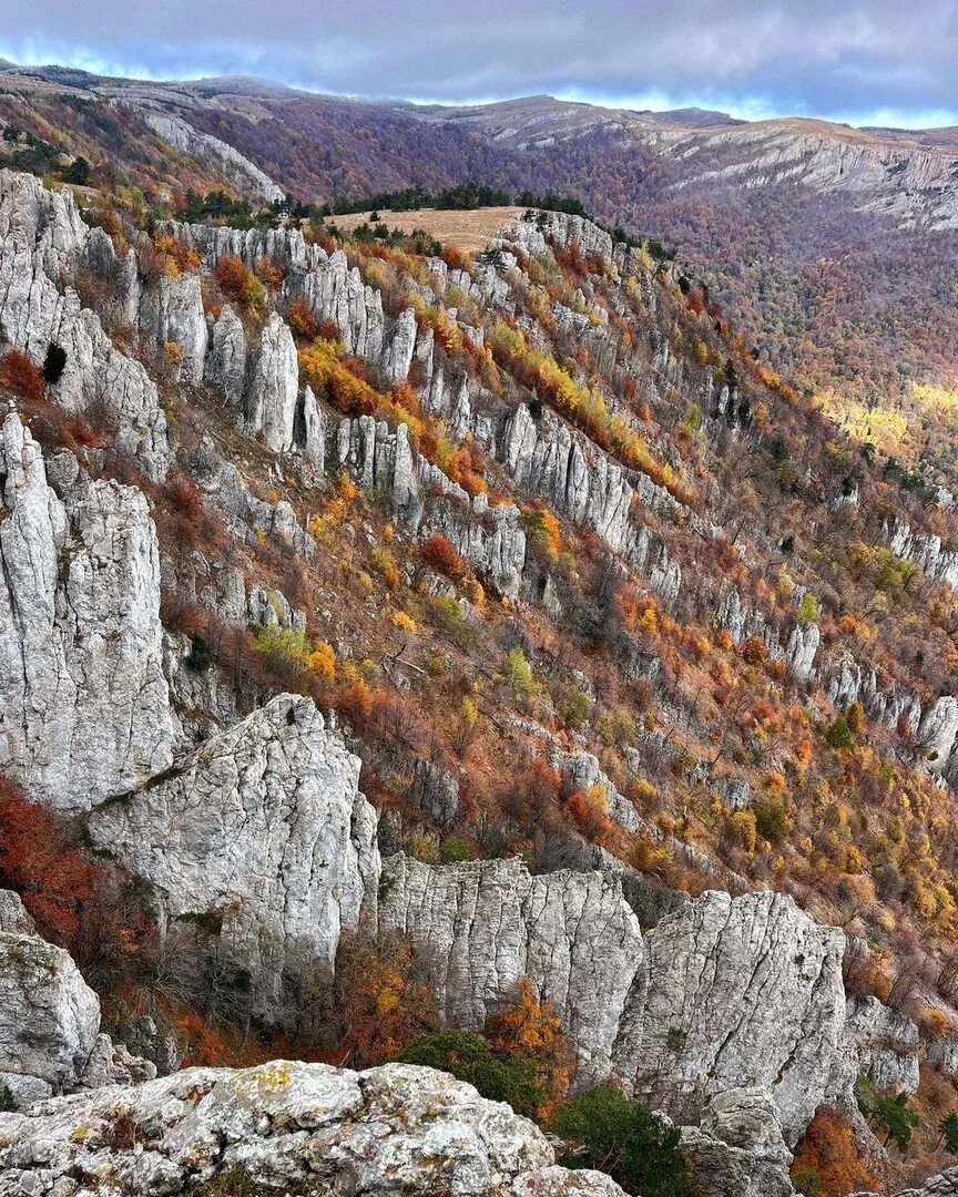 Хапхал Крым. Хапхальское ущелье. Хапхальский заказник в Крыму. Водопады ущелья Хапхал. Крым пал